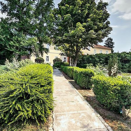 Bed and Breakfast Misefa Kastely Экстерьер фото